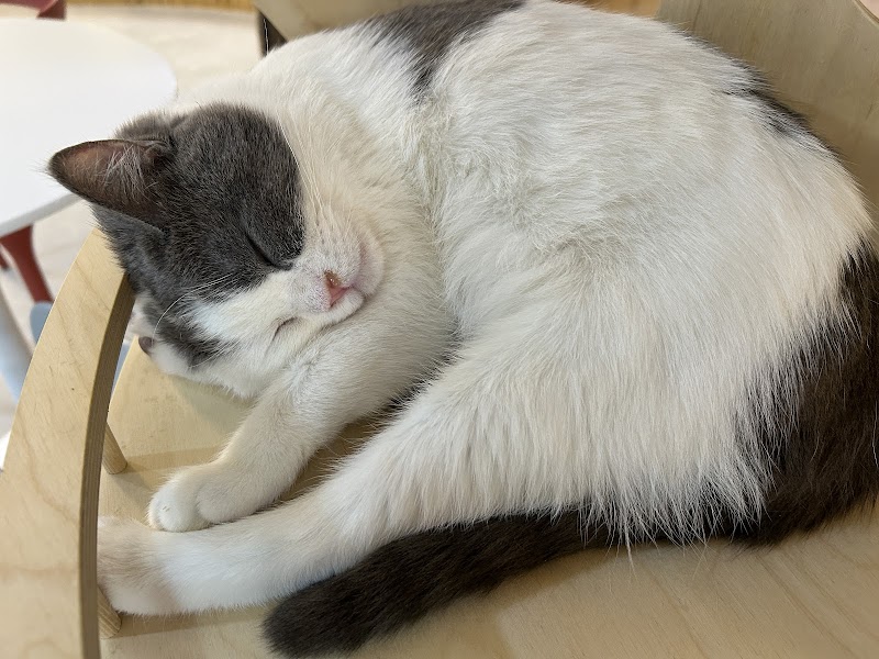 Butler's Day Nowon Branch 1