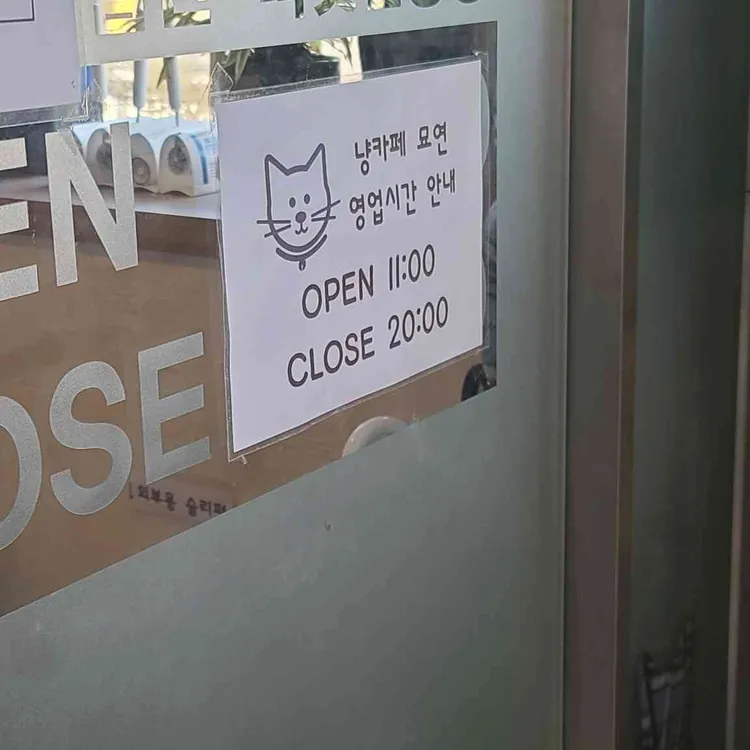 Cat Cafe Myoyeon 1