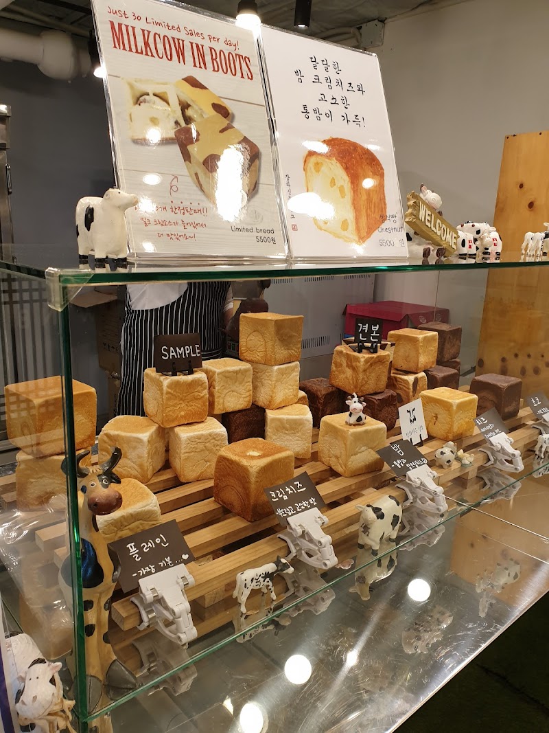 Solver Konkuk University Branch 1 1