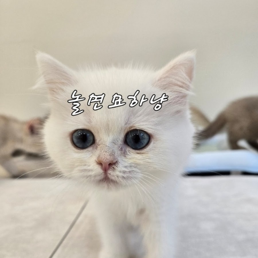 Nolmyeonmyohanyang Eunpyeong branch 1