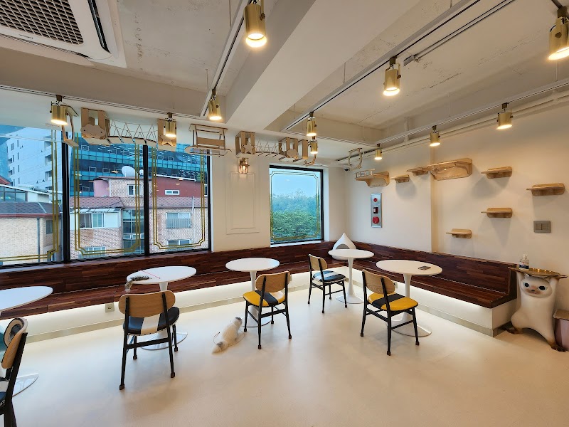 Aizoa Pet Park Seoul Branch 1